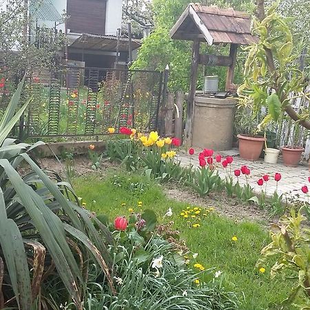 Alom Kucko Apartman Залегершег Екстериор снимка