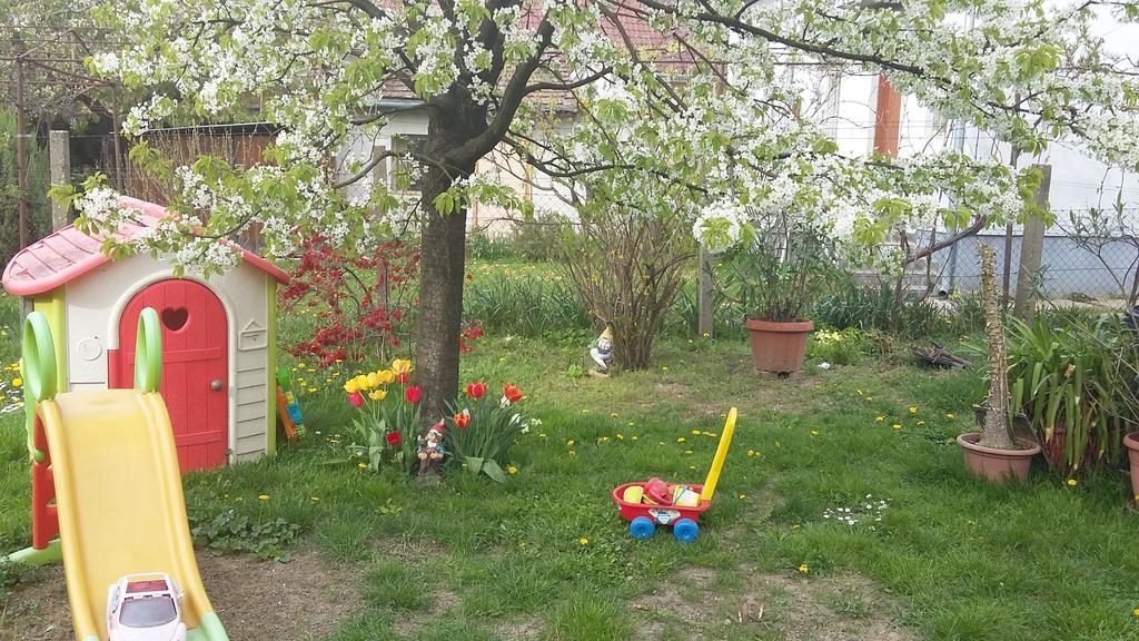 Alom Kucko Apartman Залегершег Екстериор снимка